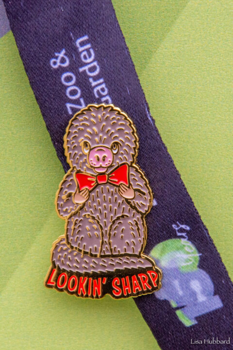 new zoo trading pin program