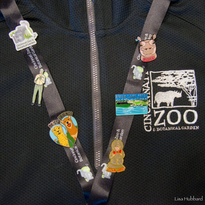 New Zoo Pin Trading Program