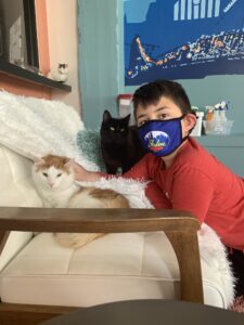 Local and Fun Indoor Activities 
